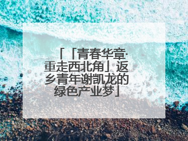 「青春华章·重走西北角」返乡青年谢凯龙的绿色产业梦